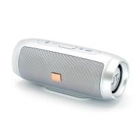 Акустика 10Вт OT-SPB105 серебро, Bluetooth, MP3, FM фото